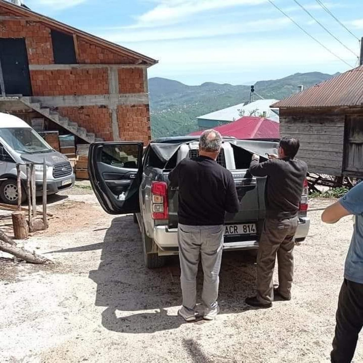 Giresun’da yol kenarında yavru ayı bulundu