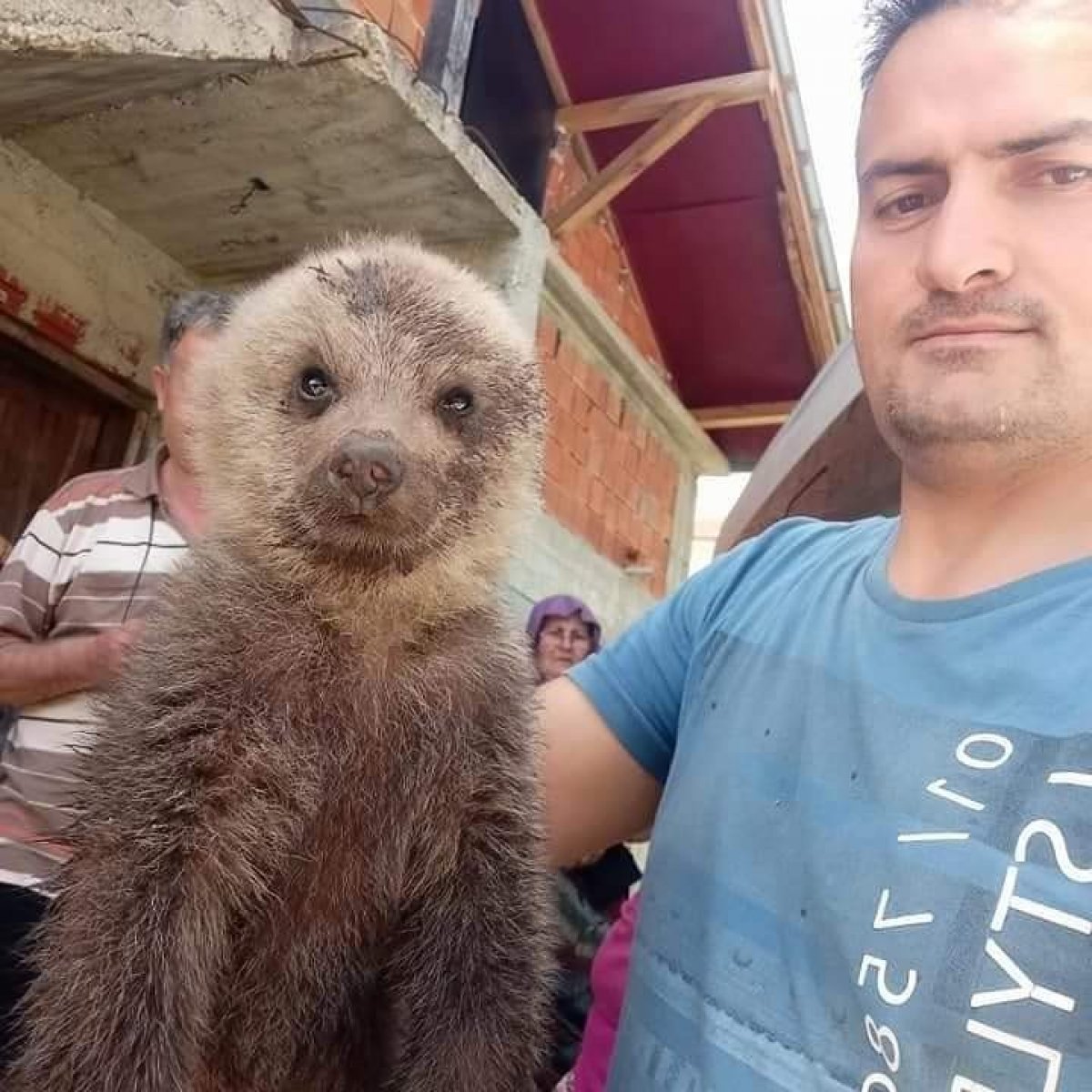 Giresun’da yol kenarında yavru ayı bulundu