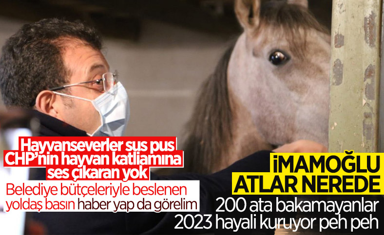 Ekrem İmamoğlu, Veteriner Hizmetleri Şube Müdürü'nü görevden aldı
