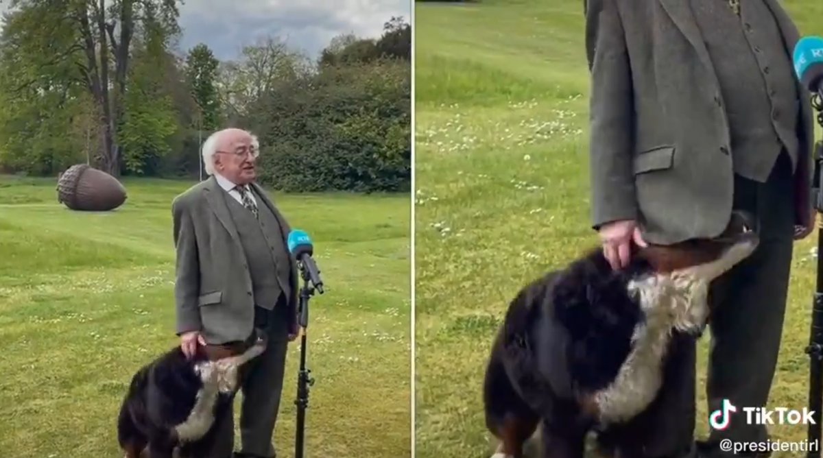 The difficult moments of Irish President Michael Higgins during the interview #2