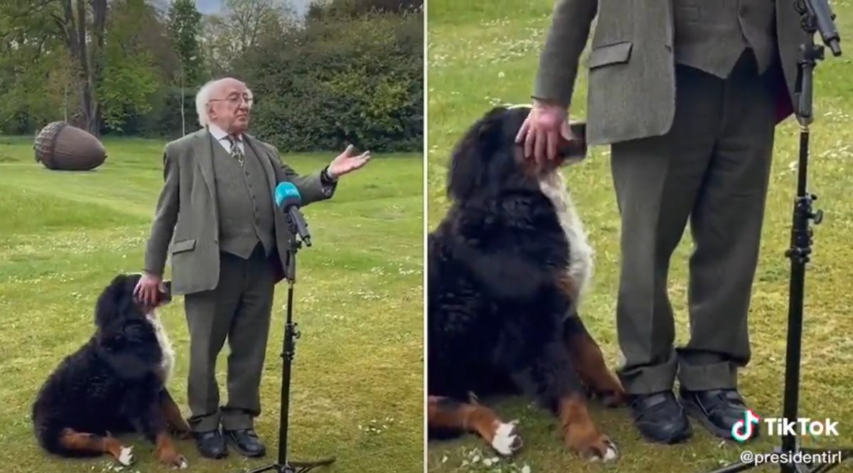 The difficult moments of Irish President Michael Higgins during the interview #4