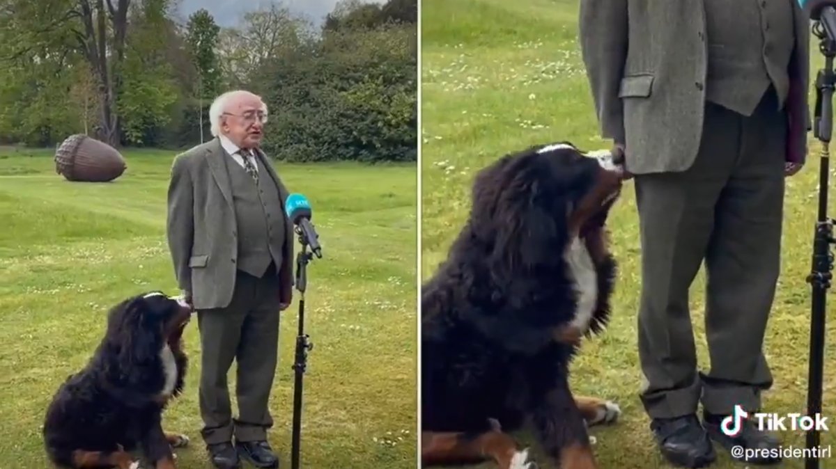 The difficult moments of Irish President Michael Higgins during the interview #1