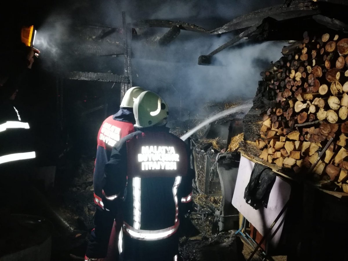 Malatya'da kümeste çıkan yangında 250 hayvan telef oldu