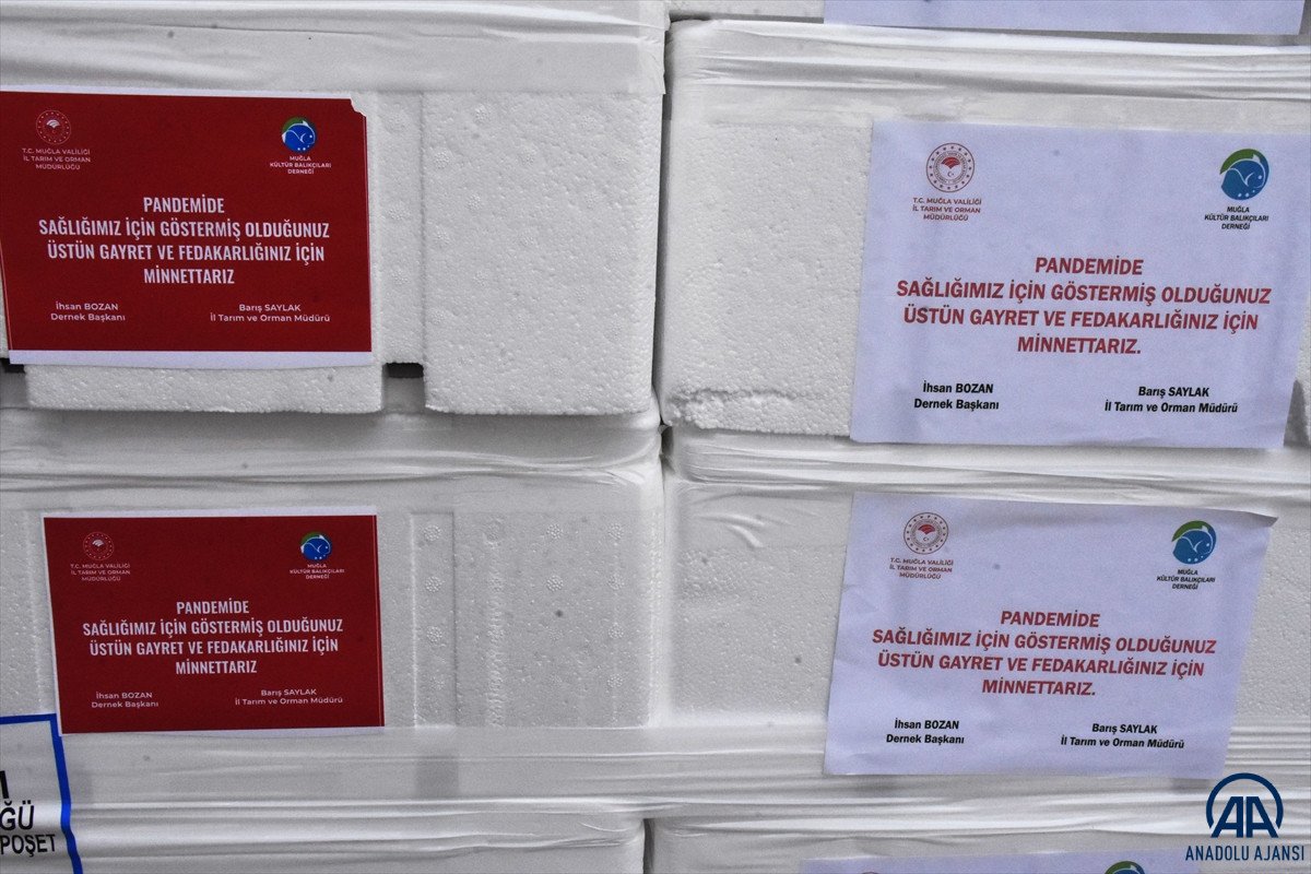 Muğla'da sağlık çalışanlarına 20 ton balık dağıtıldı