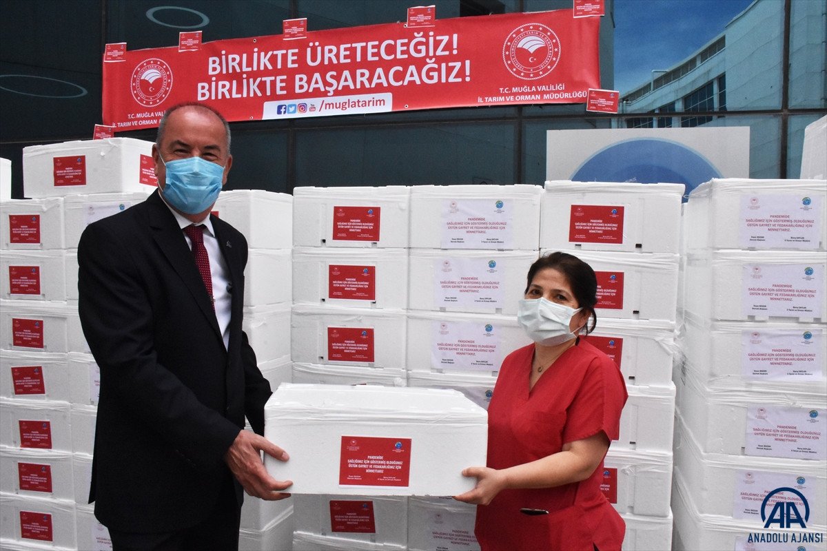 Muğla'da sağlık çalışanlarına 20 ton balık dağıtıldı