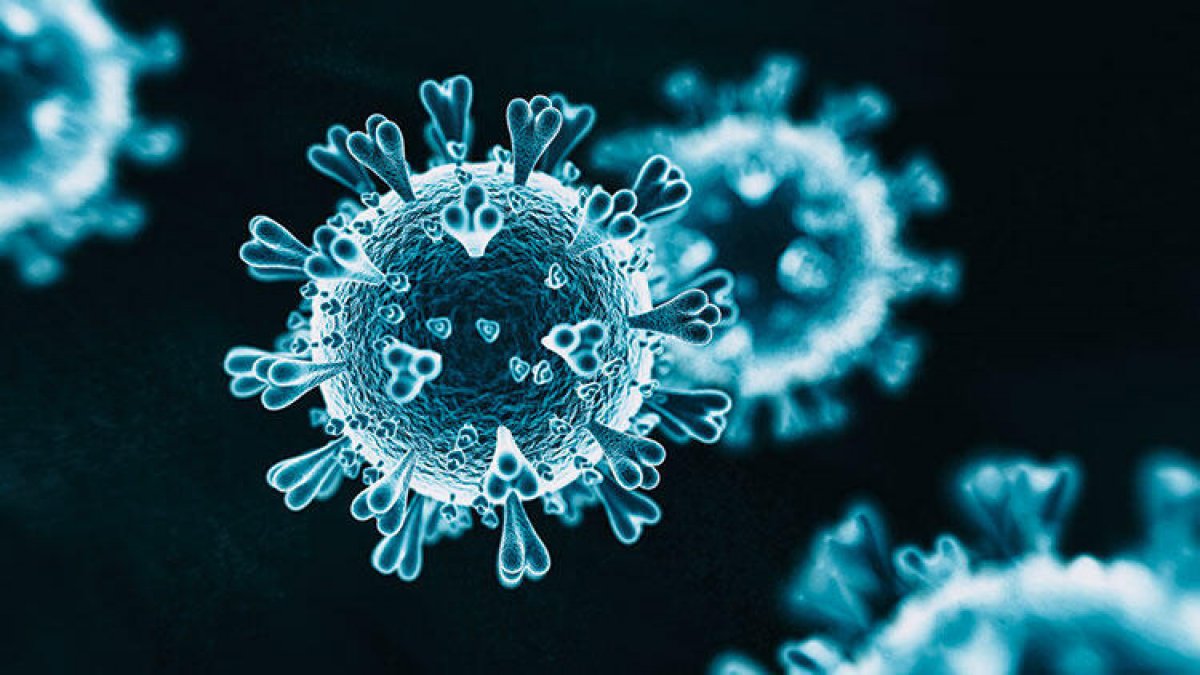 A brief history of the coronavirus #2