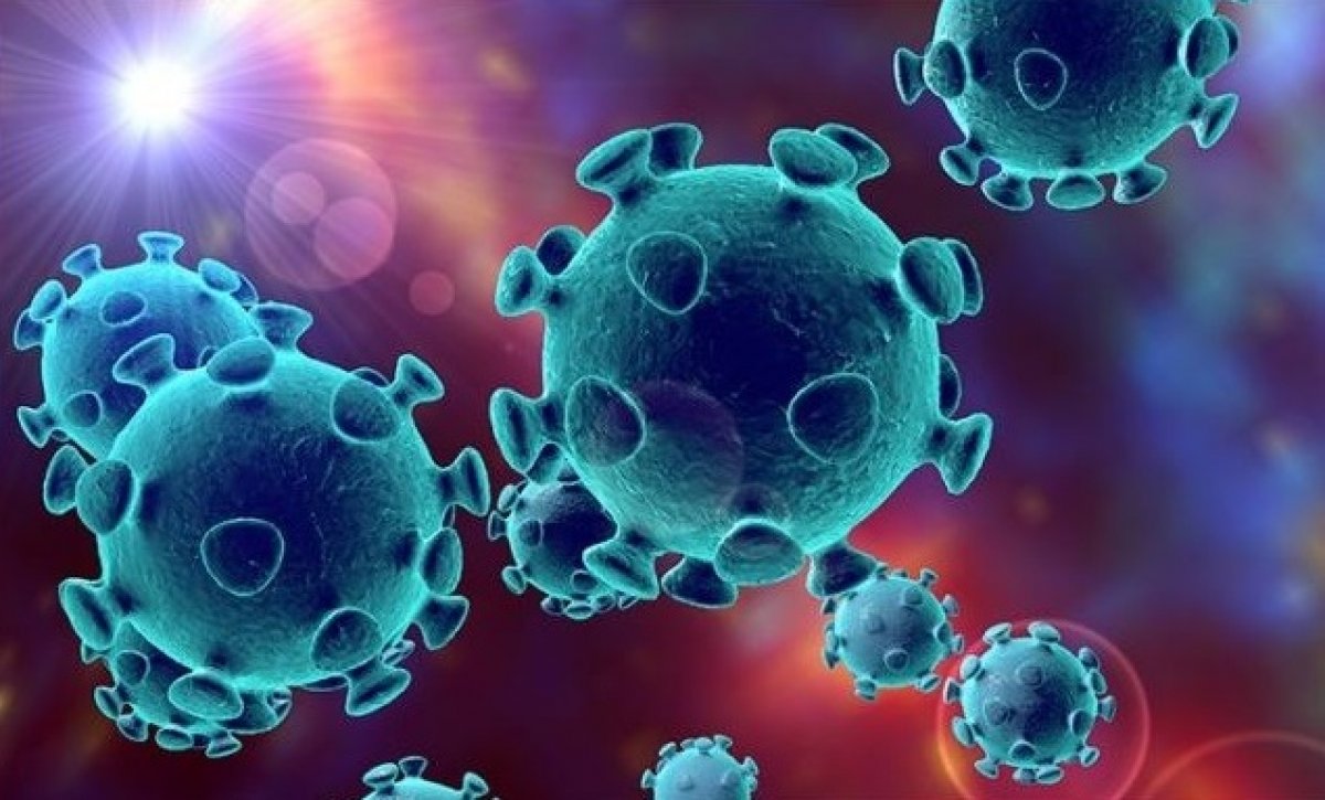 A brief history of the coronavirus #1