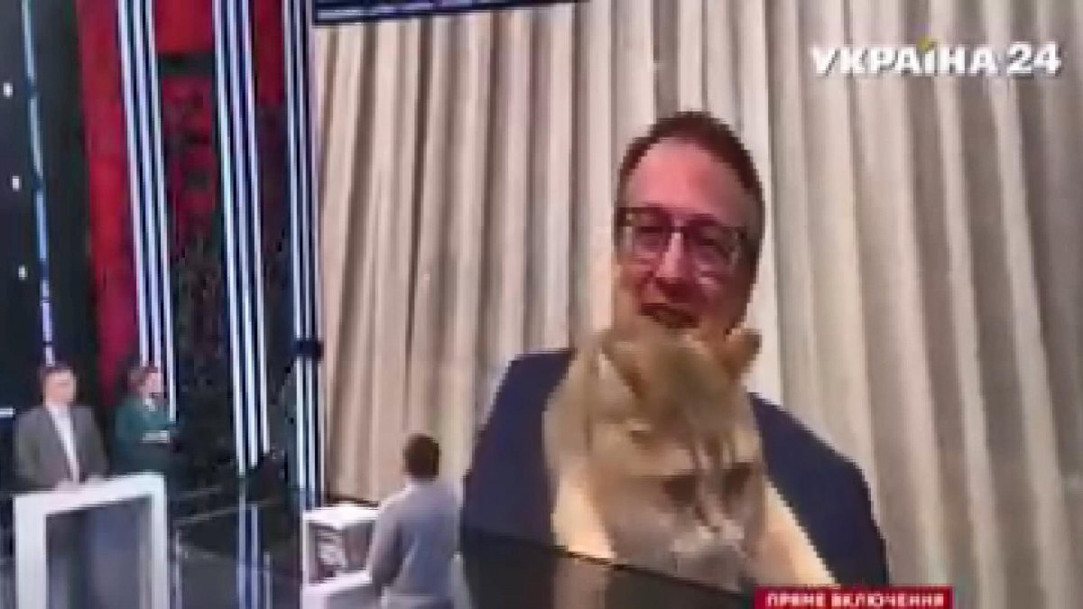 Ukrainian deputy minister's test with his cat on live broadcast #5