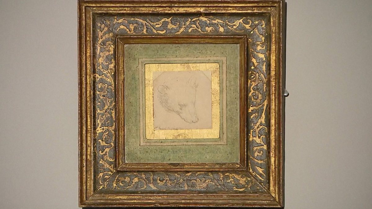 £12m for Leonardo da Vinci’s drawing of the bear Kimdeyir