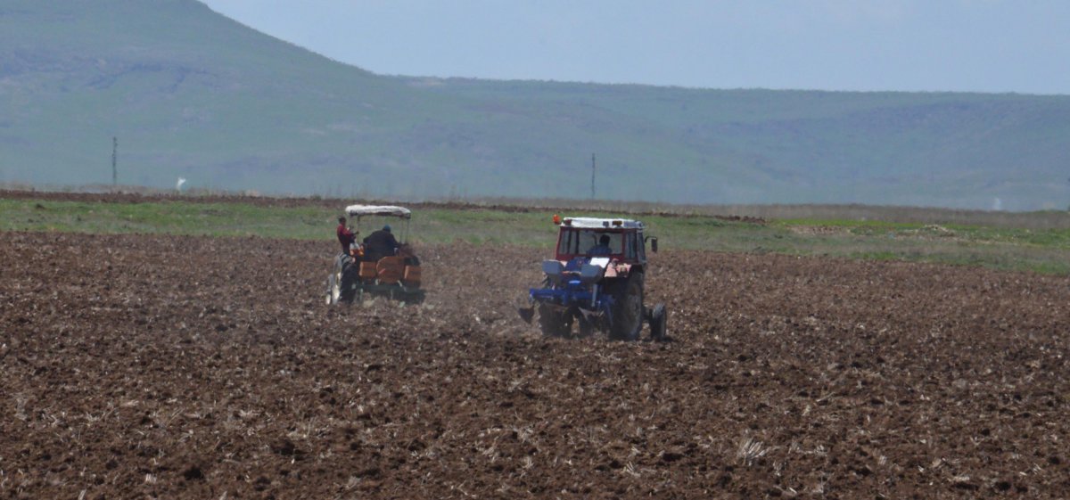 Erzurum tarımında kuraklık endişesi sürüyor #1
