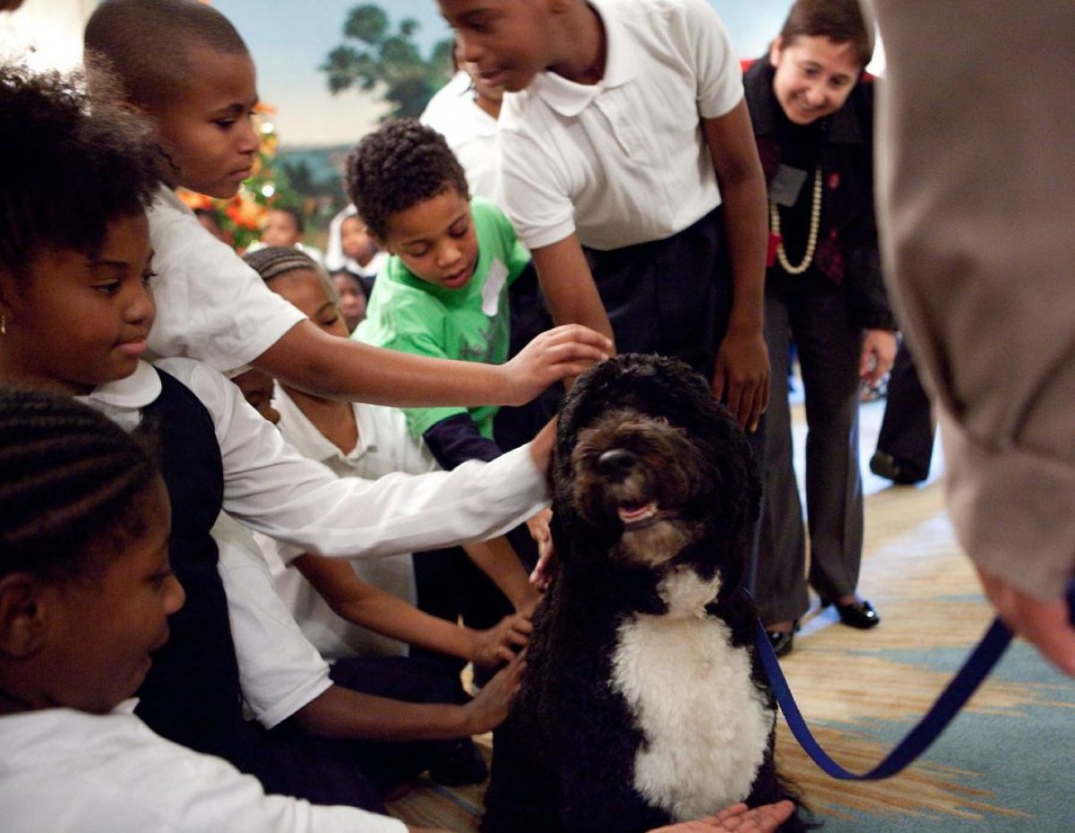 Barack Obama, 12 yıllık köpeğini kaybetti  #1