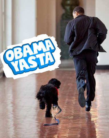 Barack Obama, 12 yıllık köpeğini kaybetti 