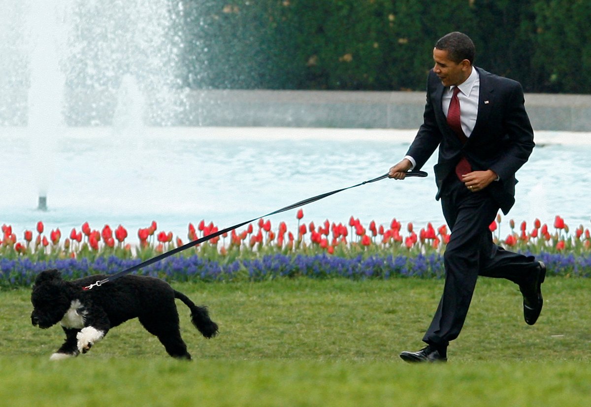 Barack Obama lost his dog of 12 years #3
