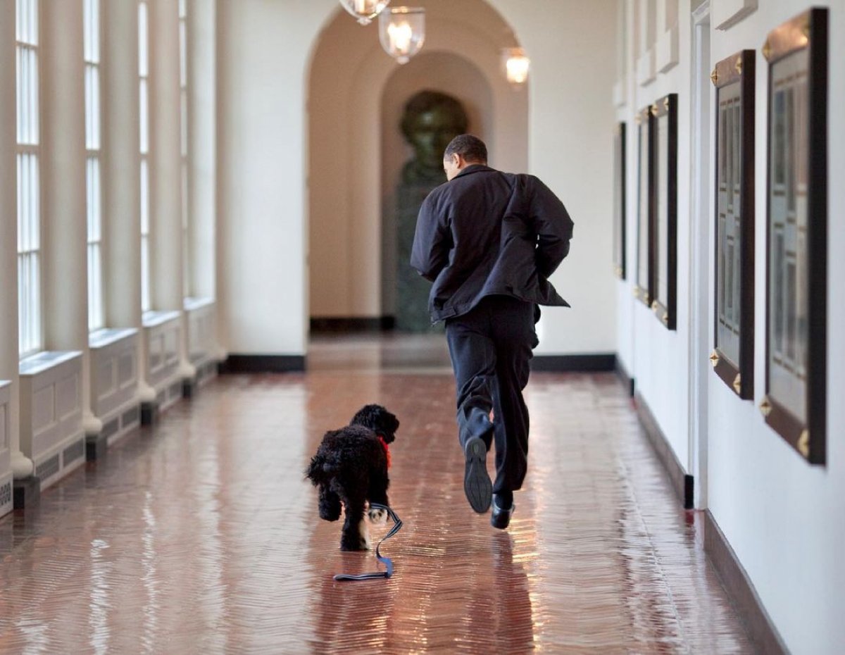 Barack Obama lost his dog of 12 years #5