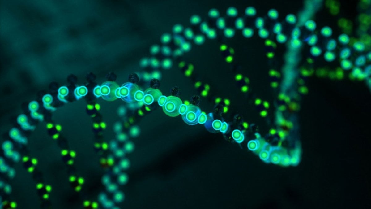 Gen teknolojilerinin 10 şaşırtıcı kullanım şekli #10