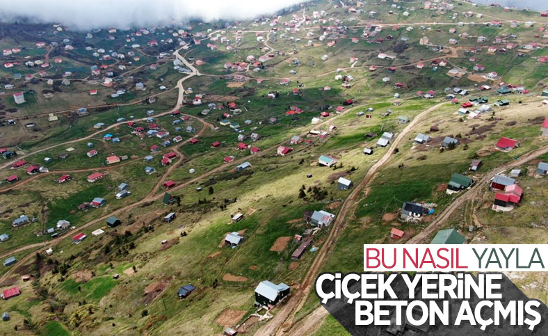 Sisdağı Yaylası'nın geldiği son nokta