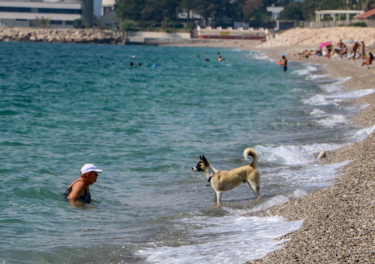 Antalya da sahil turistlere kaldı #5