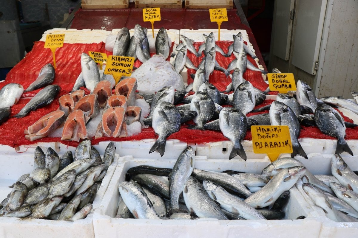 Balık satışları da fiyatlar da düştü #1