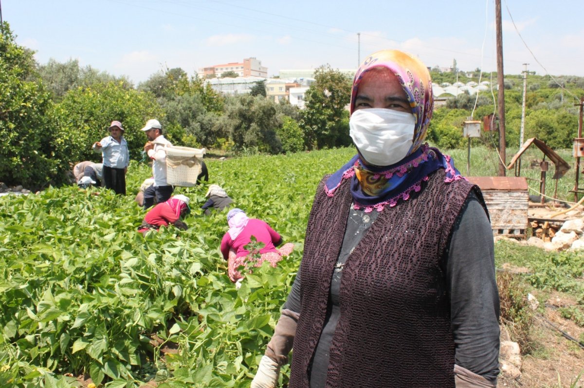 Mersin’de çiftçiler Dünya Çiftçiler Günü’nü tarlada karşıladı #4