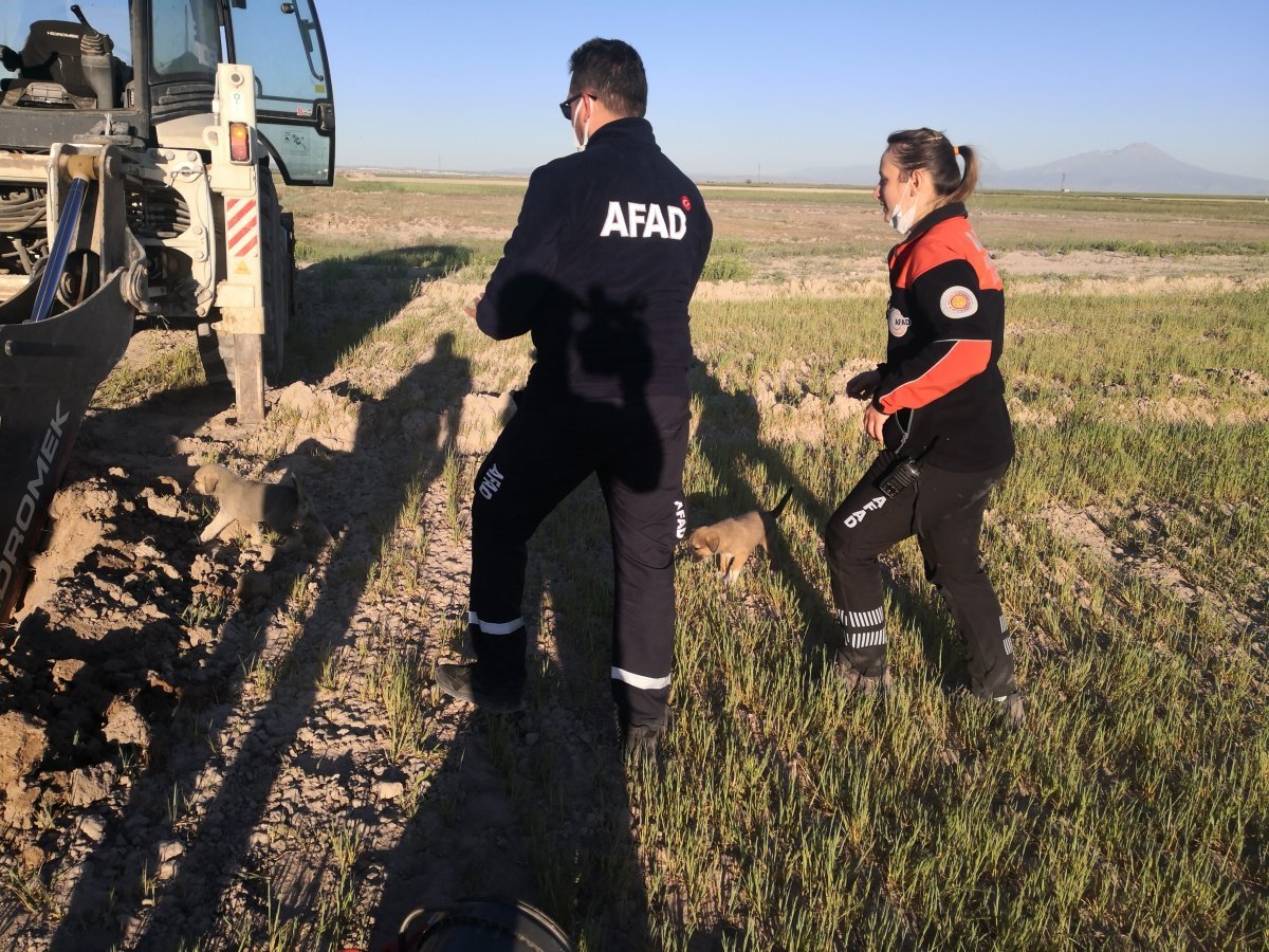 Aksaray’da, su kuyusuna düşen köpekleri AFAD ekipleri kurtardı #1