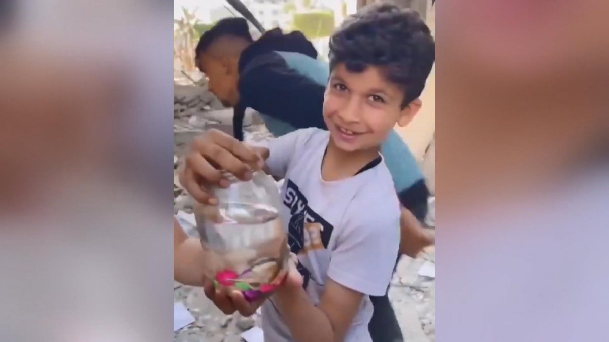 Gazze’de balıkları enkazdan kurtaran çocukların sevinci #2