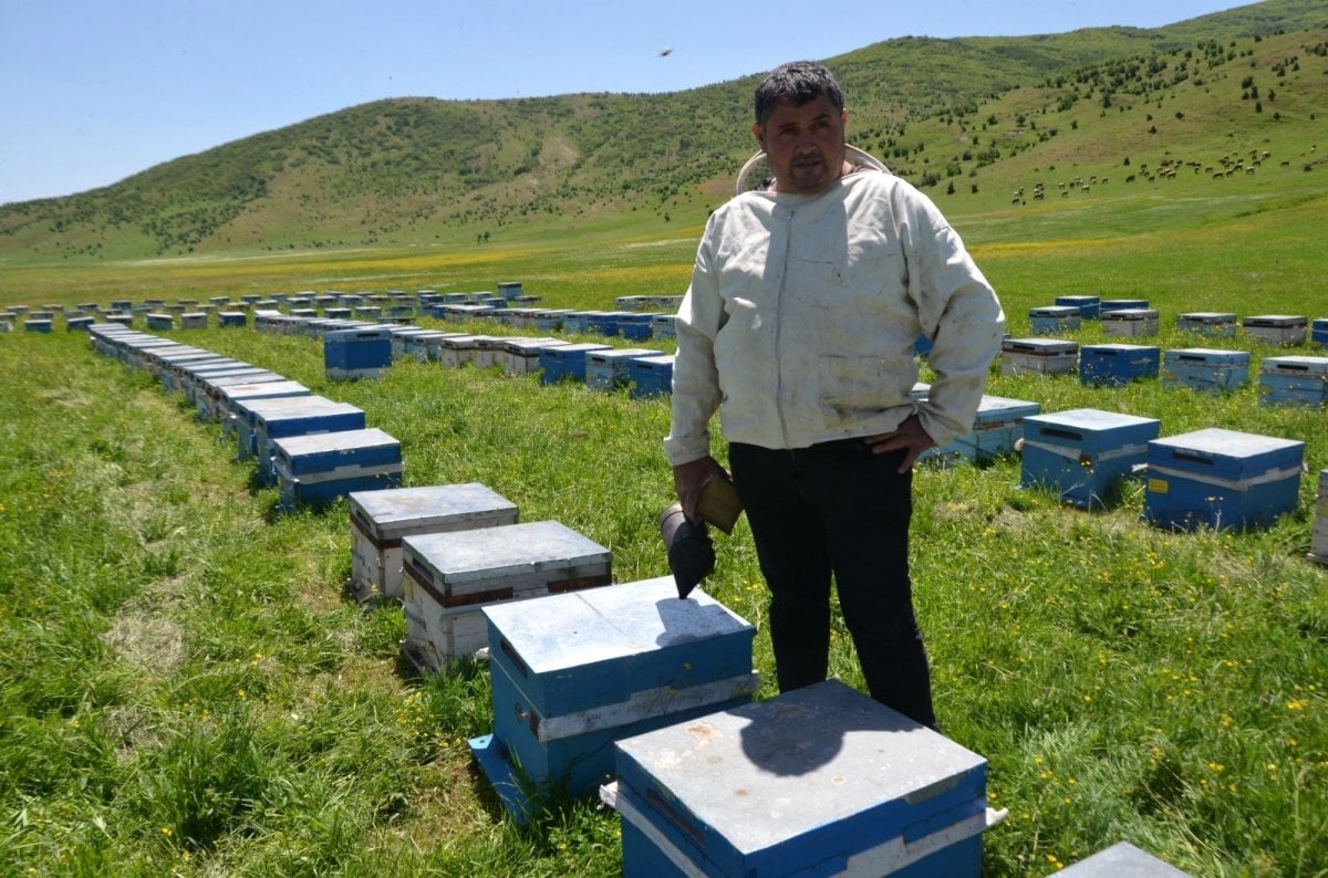Bal arılarından Muş ekonomisine 20 milyon liralık katkı #1