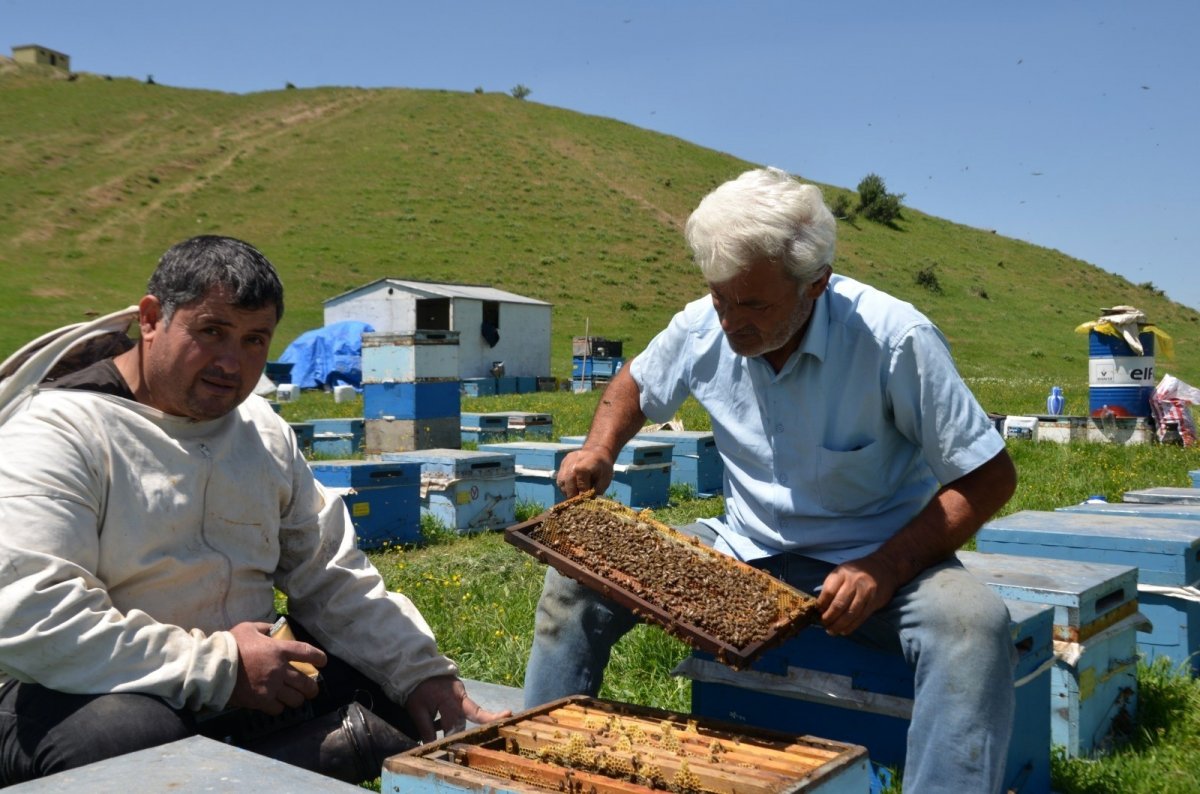 Bal arılarından Muş ekonomisine 20 milyon liralık katkı #2