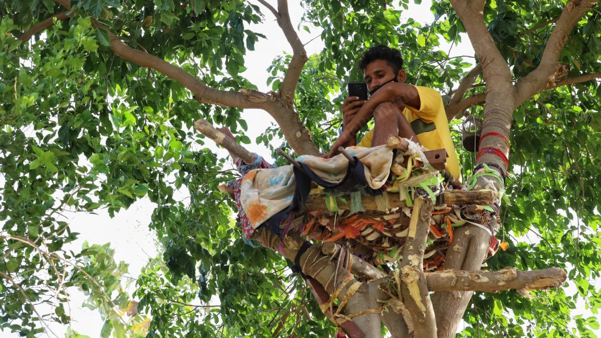 ‘Isolation bed’ in tree from Indian teenager