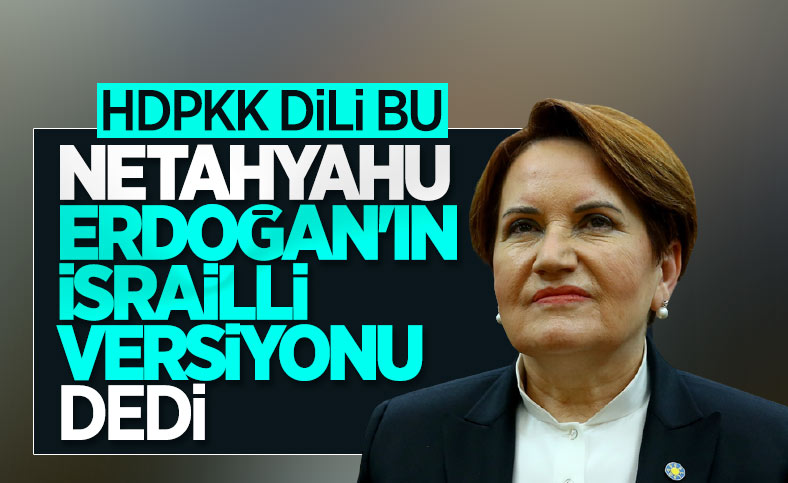 Meral Akşener'den Cumhurbaşkanı Erdoğan'a çirkin benzetme