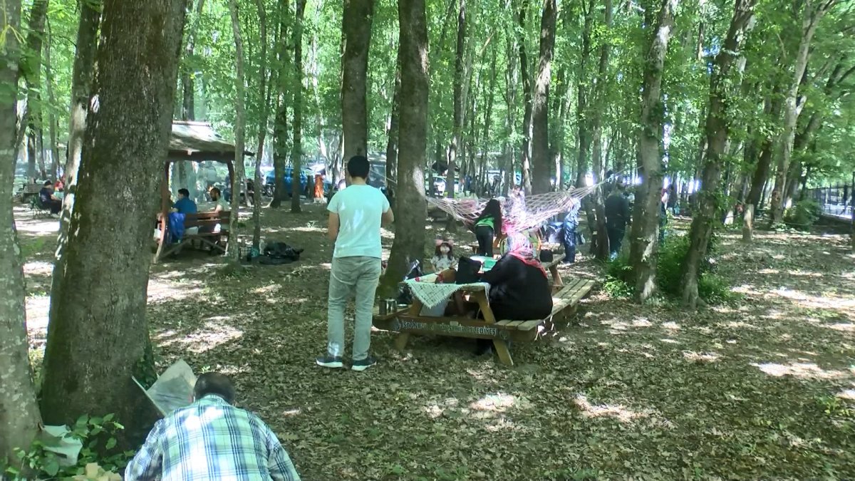 Belgrad Ormanı nda piknik yoğunluğu #1