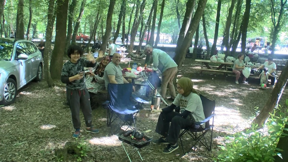 Belgrad Ormanı nda piknik yoğunluğu #2