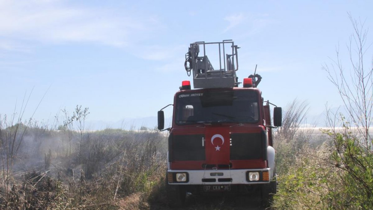 Antalya'da sazlık alan yanarak küle döndü 