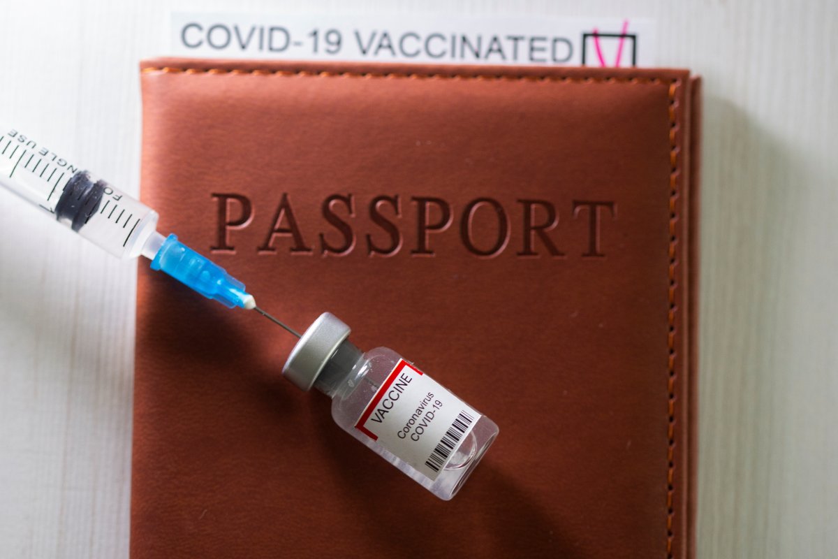 EU countries will open borders to those who have coronavirus vaccine #3