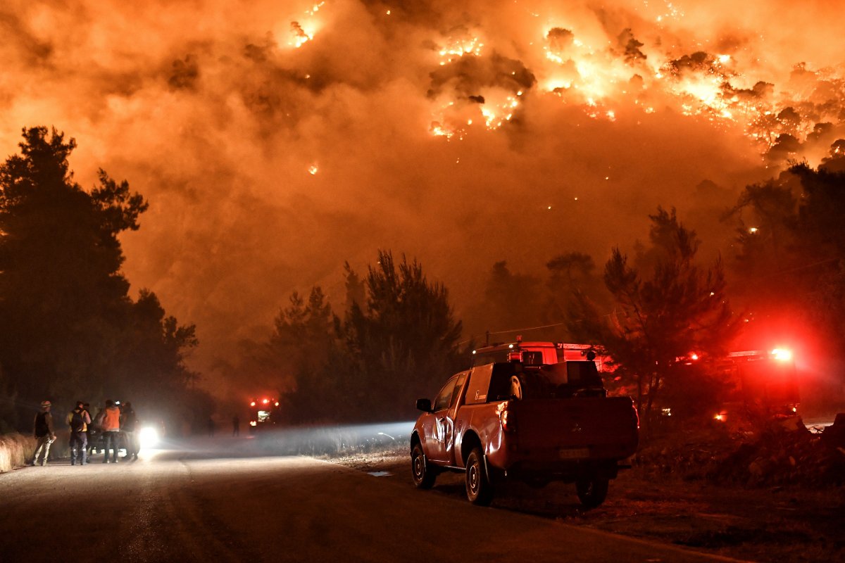 Yunanistan da orman yangını #3