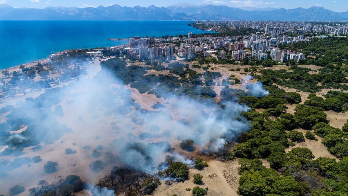 Antalya da ormanlık alan yandı #4