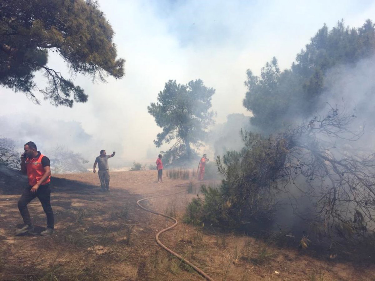 Antalya da ormanlık alan yandı #2