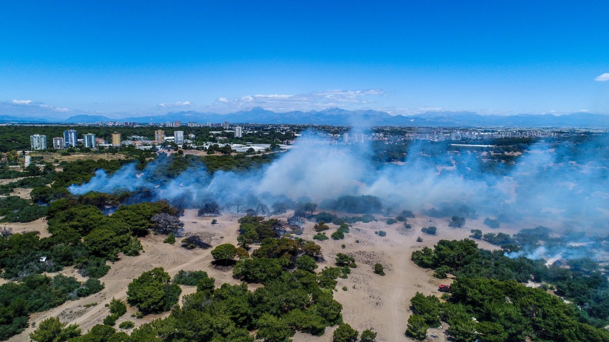 Antalya da ormanlık alan yandı #5