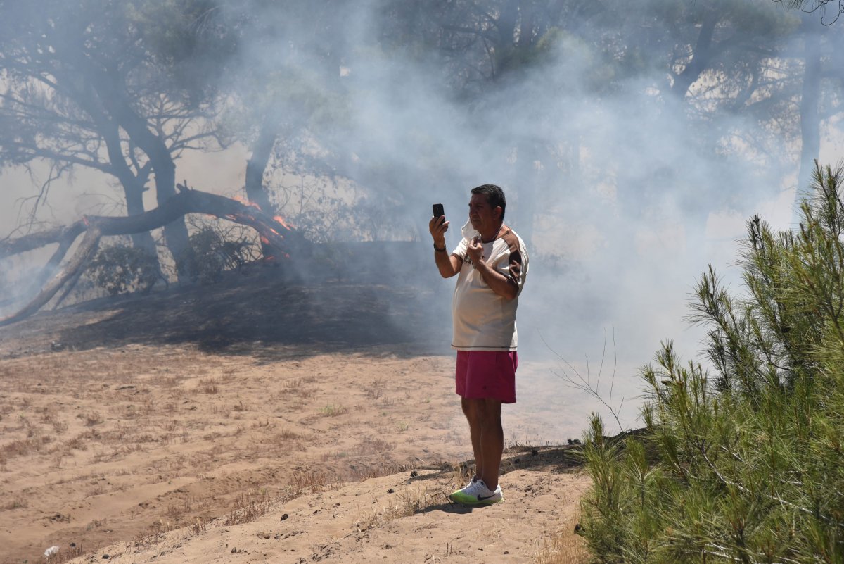 Antalya da ormanlık alan yandı #11