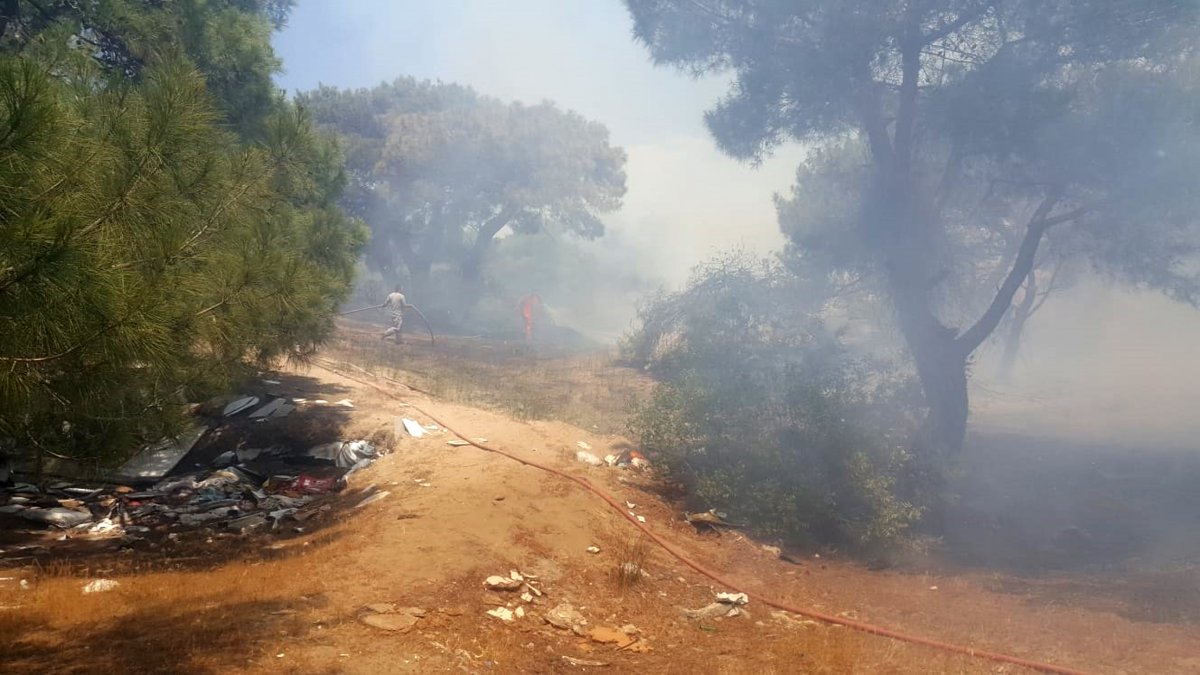 Antalya da ormanlık alan yandı #3