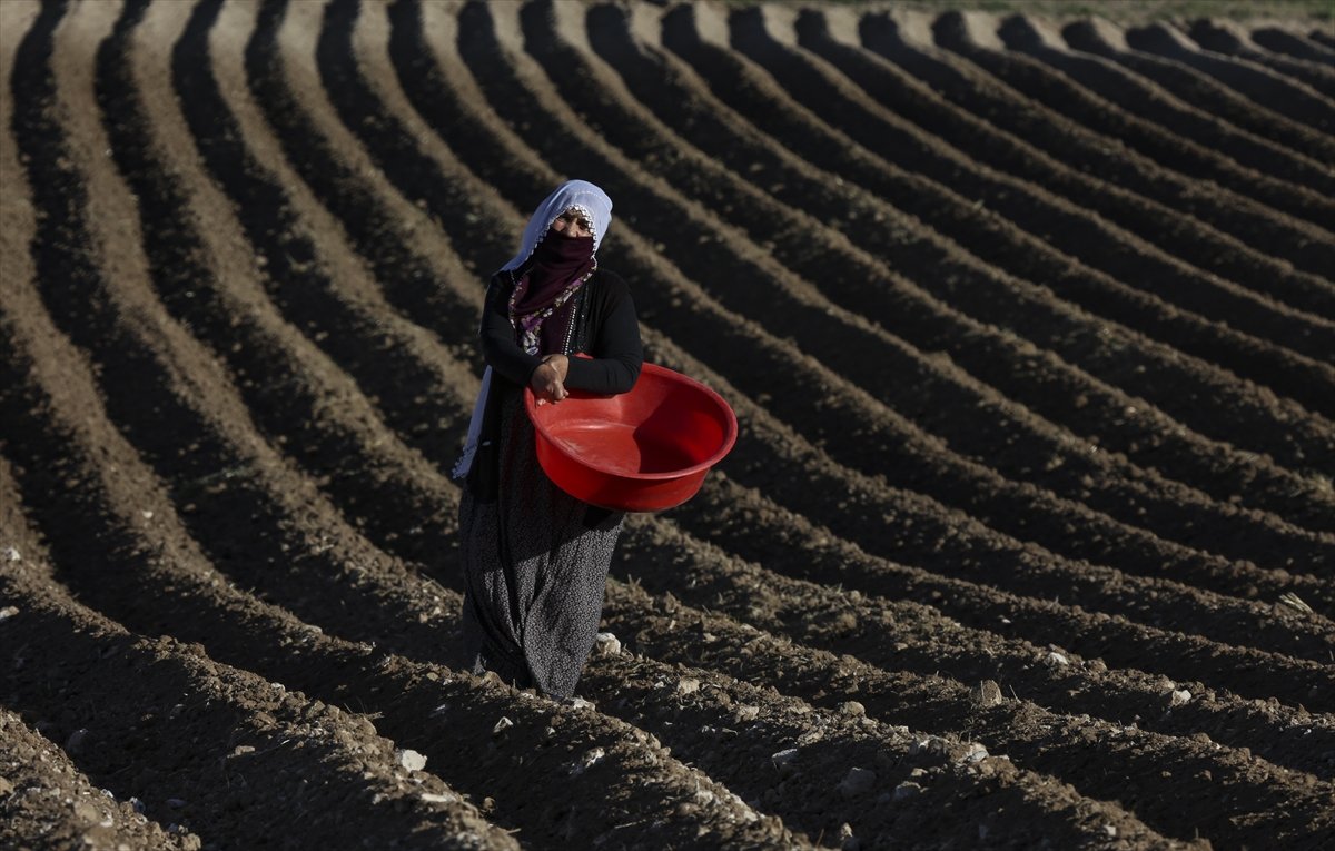 Nevşehir de çiftçiler kuraklık endişesi taşıyor #3