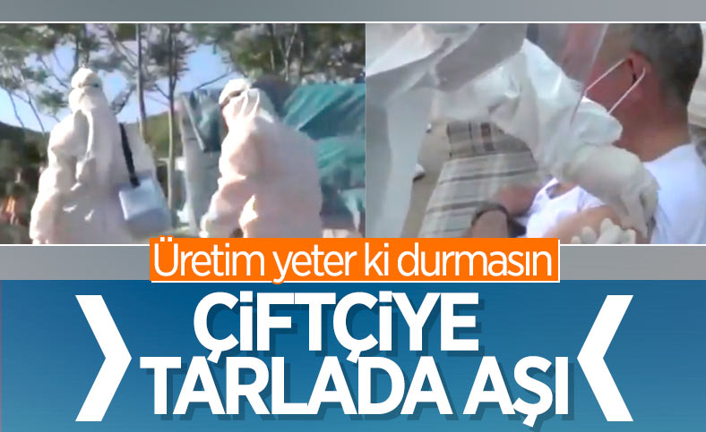 Tarım işçileri koronavirüs aşılarını tarlalarında oluyor