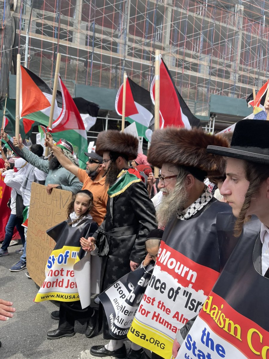 New York ta Filistin e destek yürüyüşü #8