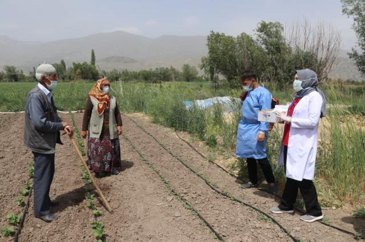 Erzincanlı çiftçi aile çapa yaptıkları tarlada aşılandı #2