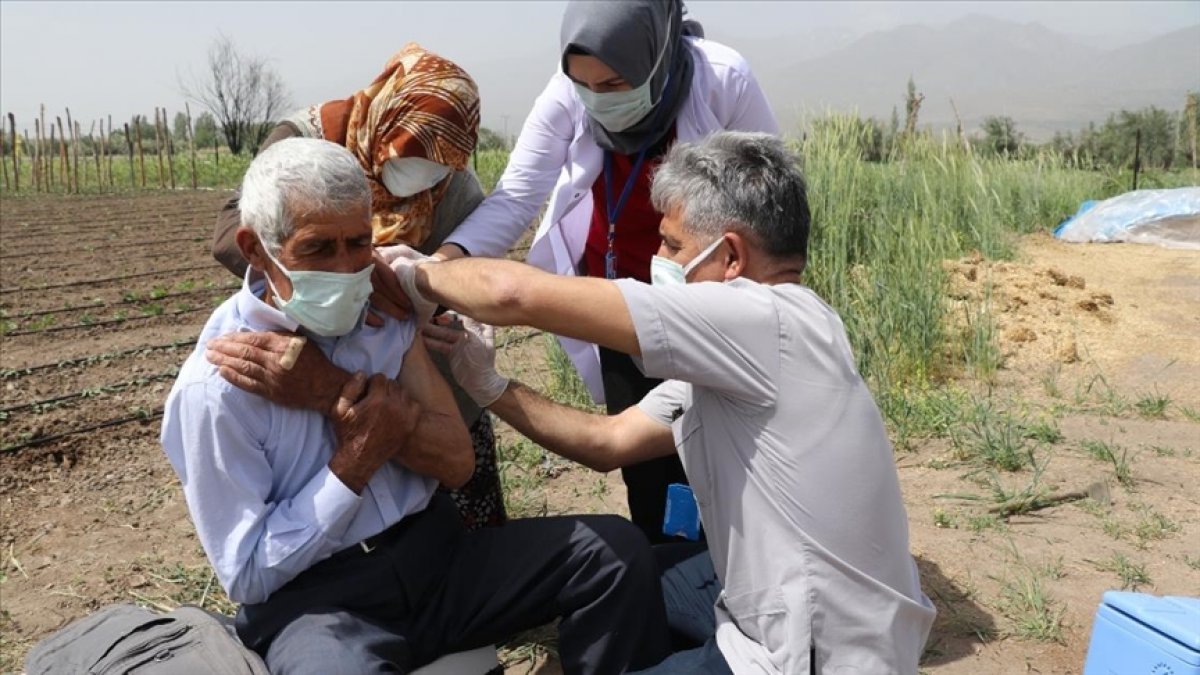 Erzincanlı çiftçi aile çapa yaptıkları tarlada aşılandı #4