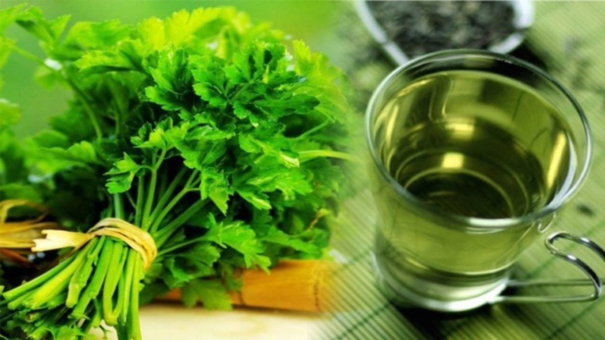 Goodbye toxins benefits of parsley juice Kimdeyir