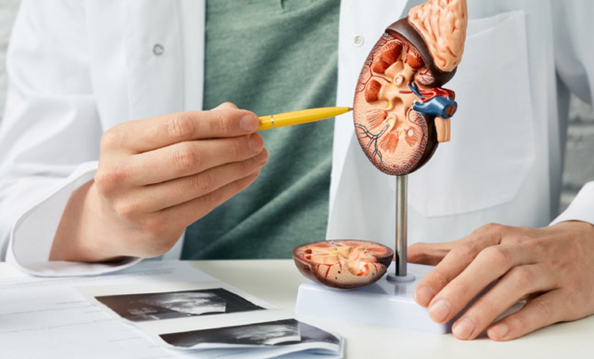 Kidney failure progresses asymptomatically in young people #2