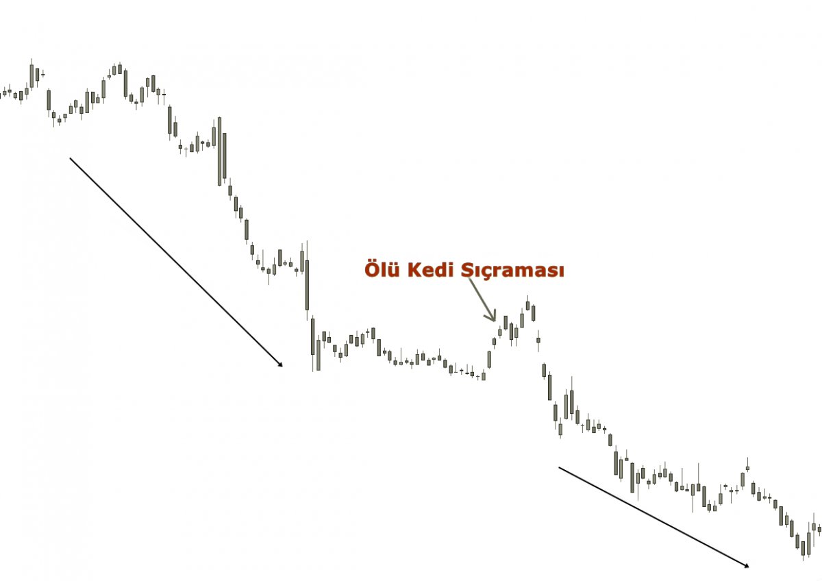 Ölü kedi sıçraması (Dead cat bounce) nedir