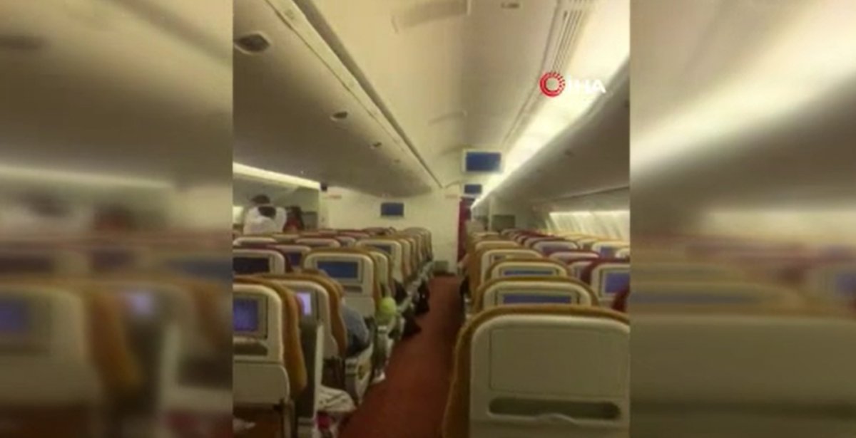 Bat entered passenger plane in India #1