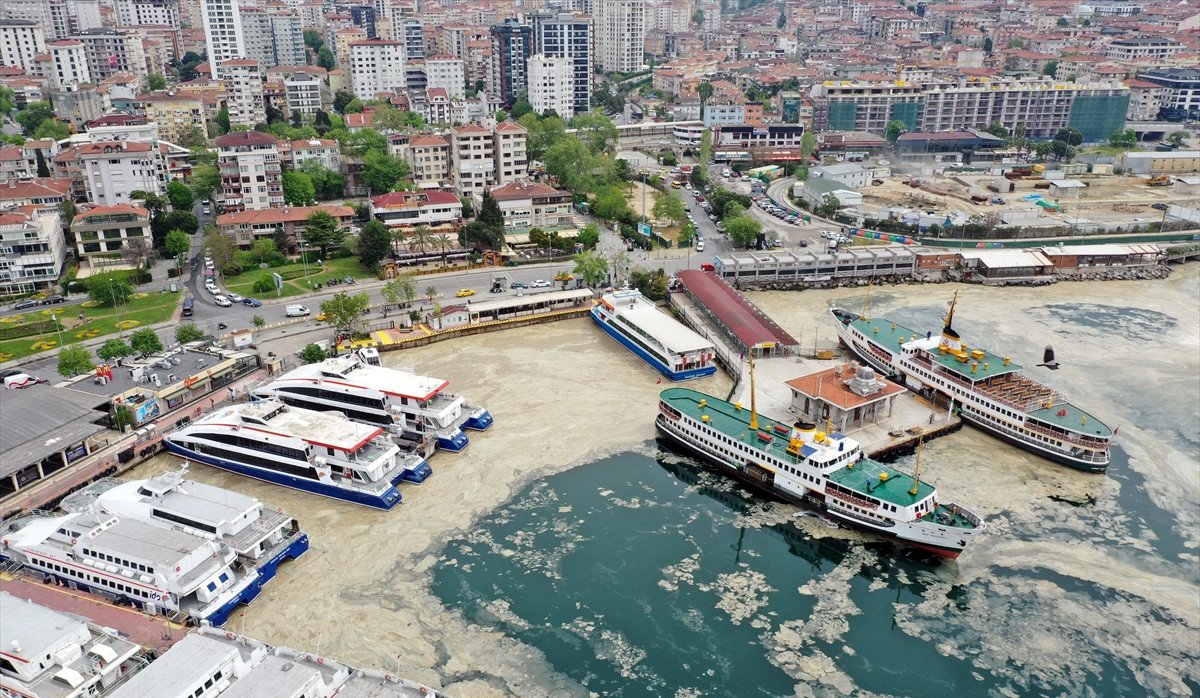 Marmara Denizi ni deniz salyaları kapladı #6