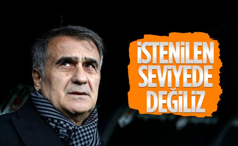 Şenol Güneş: Şu an istenilen seviyede değiliz